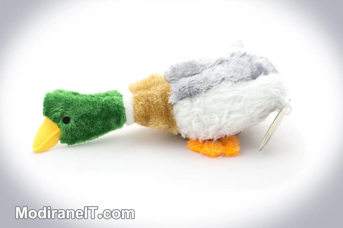 duck-managers-eagle