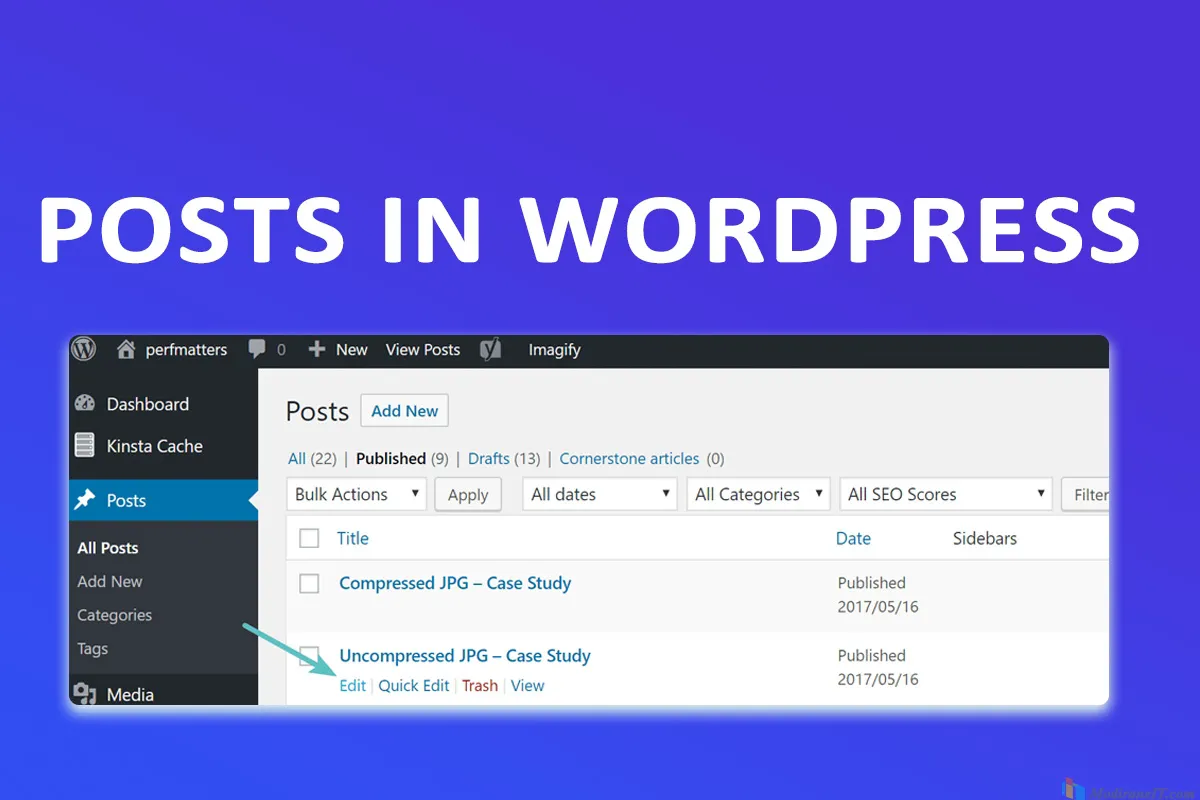 postsinwordpress copy